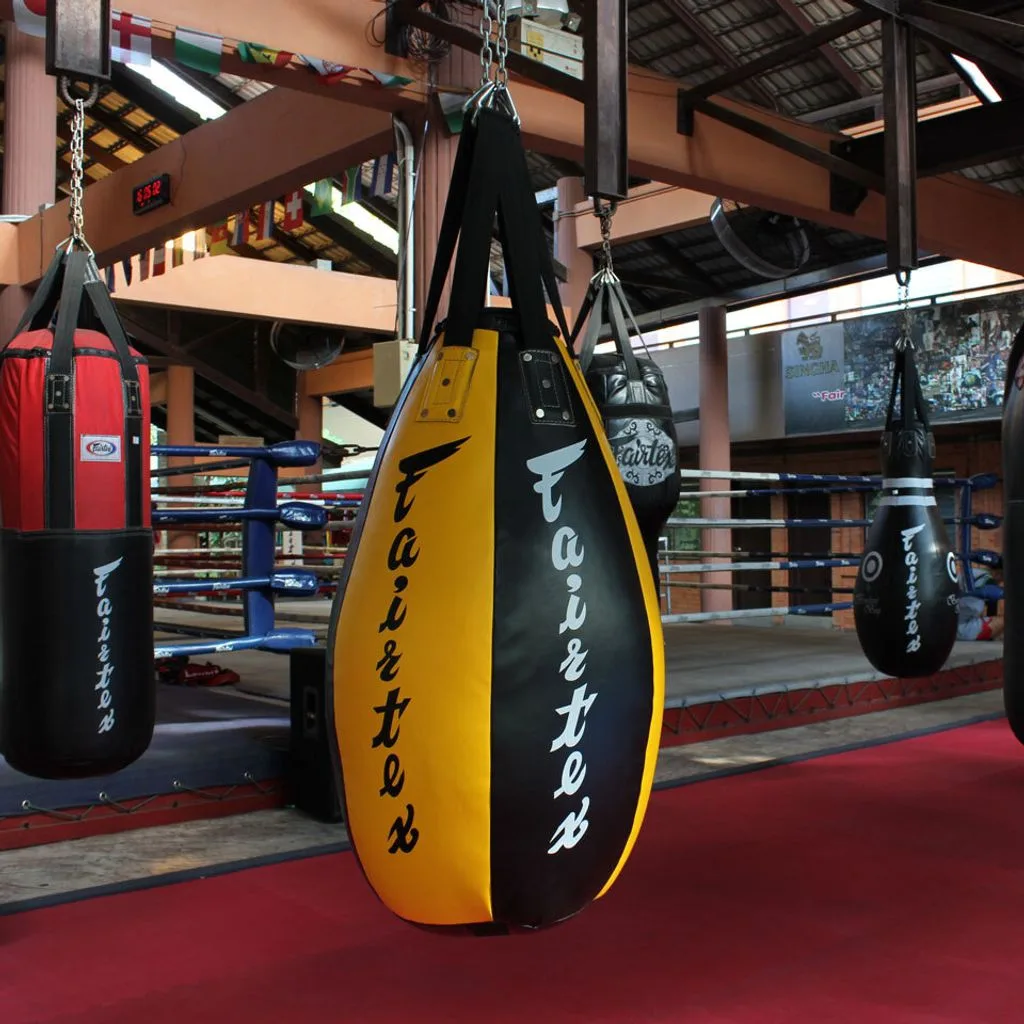 teardrop punching bag